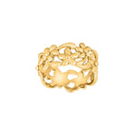 Rod. Silver ring