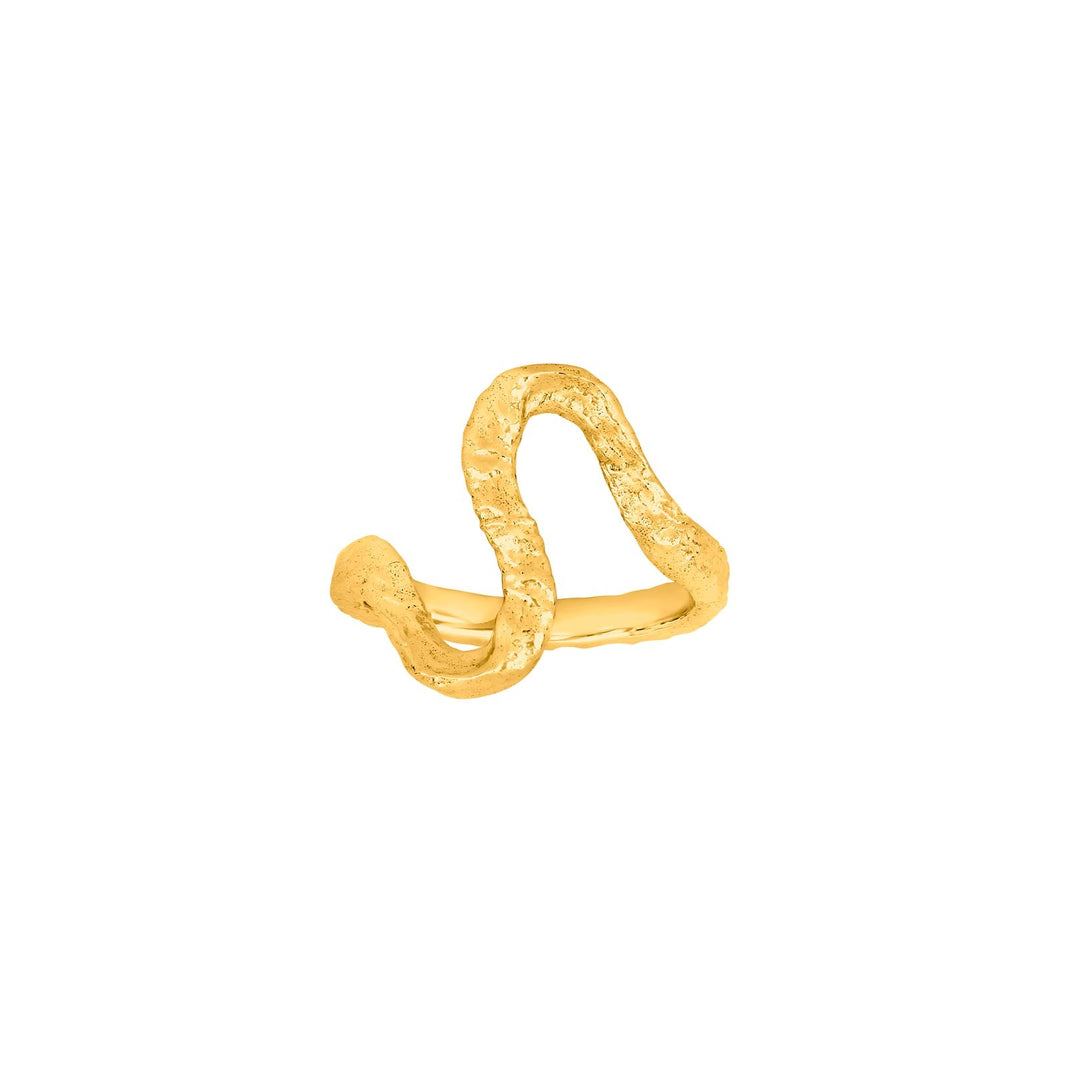 Rhd. Silver ring HAPPY52