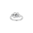 Rhd. Silver ring OLINANOR
