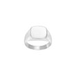 SON steel ring plate