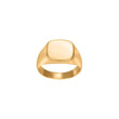 SON steel ring plate