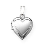 Medallion 925 33cm chain