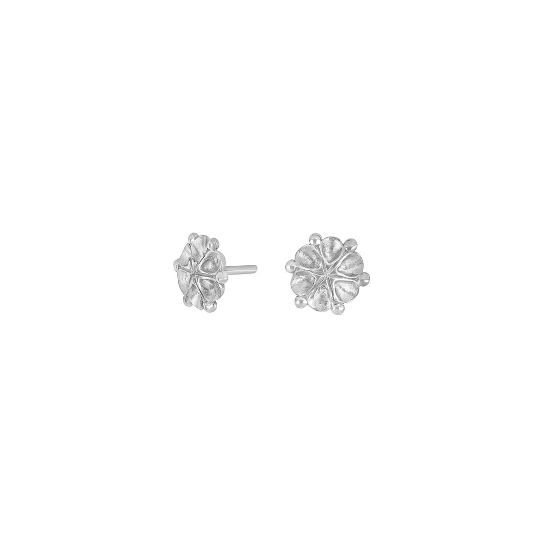 Rhod. silver earrings