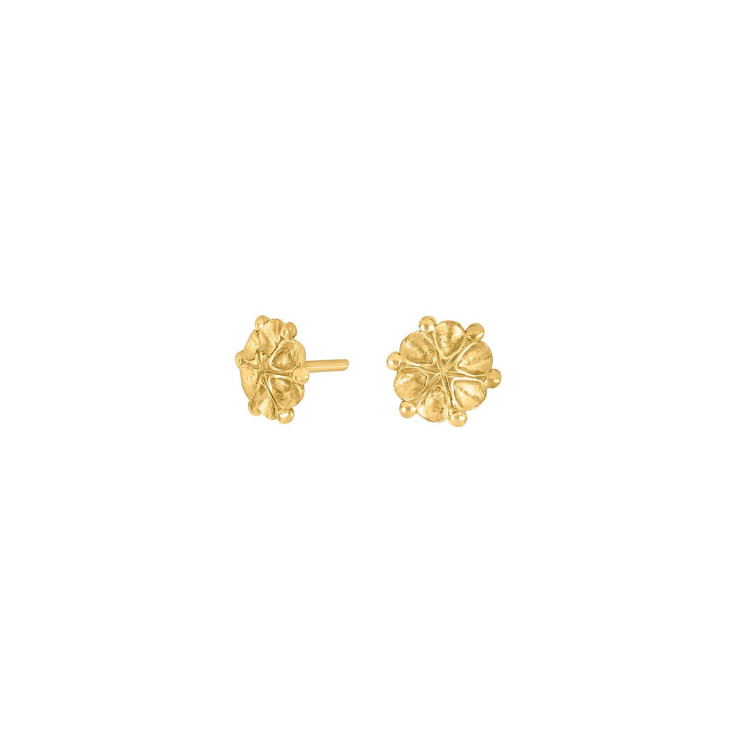 Goldpl. silver earrings