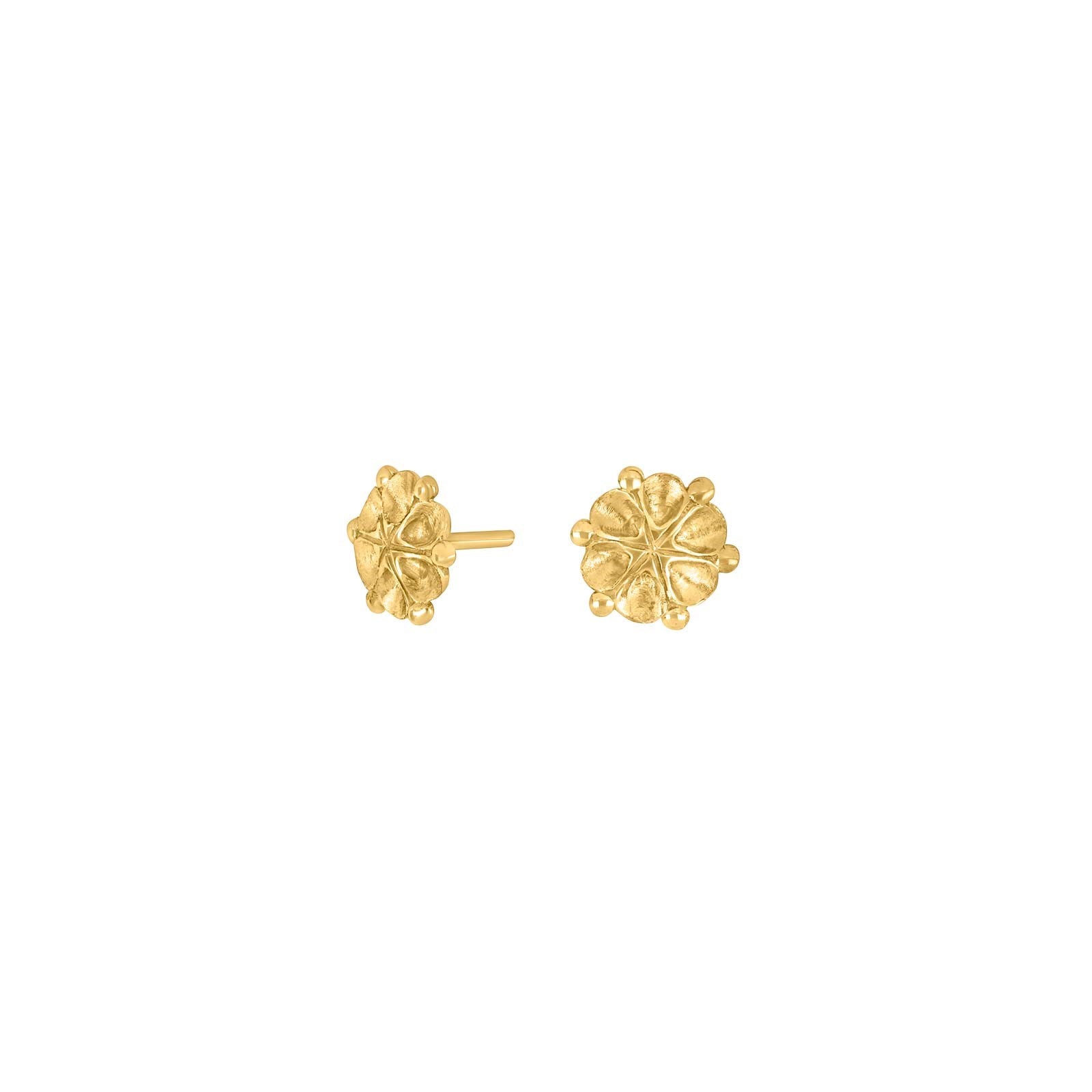 Goldpl. silver earrings