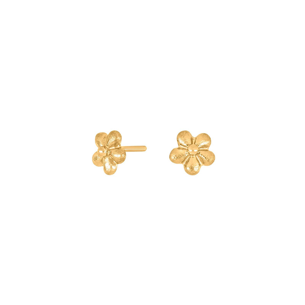 Goldpl. silver earrings