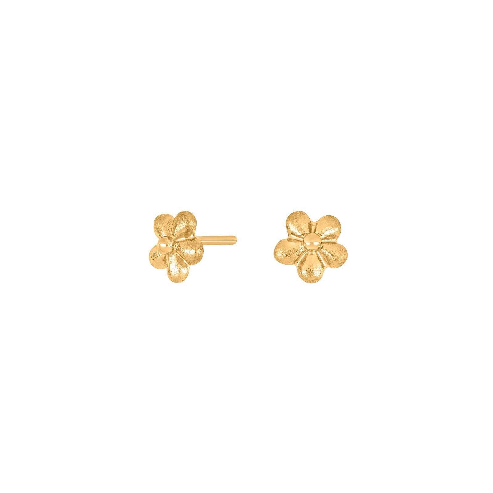 Goldpl. silver earrings