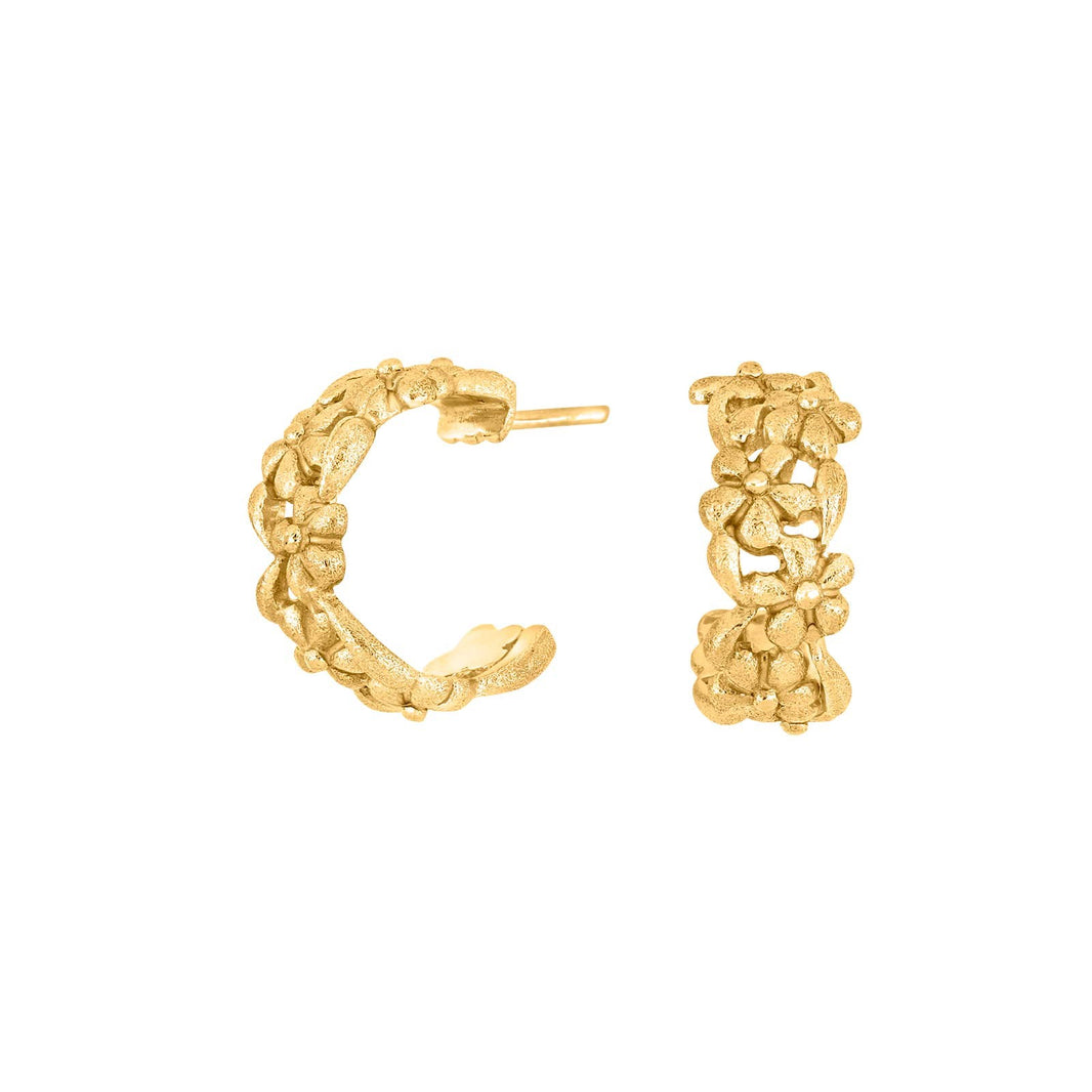 Goldpl. silver earrings