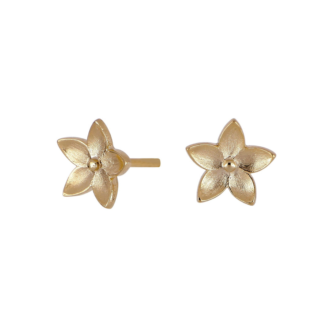 Silver goldplated earring