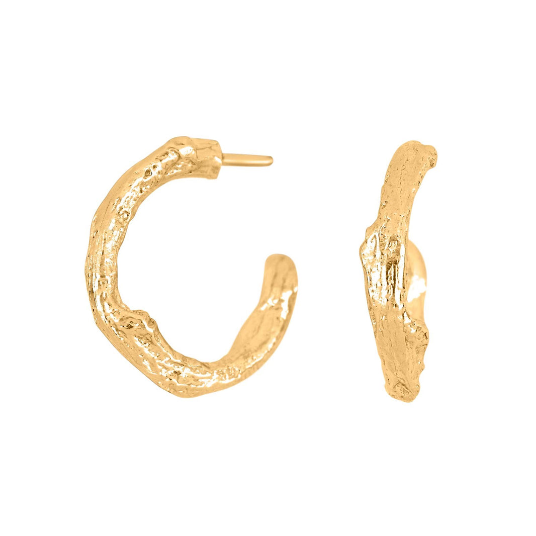 Silver goldplated hoops Structure