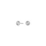 Titanium ear studs circle
