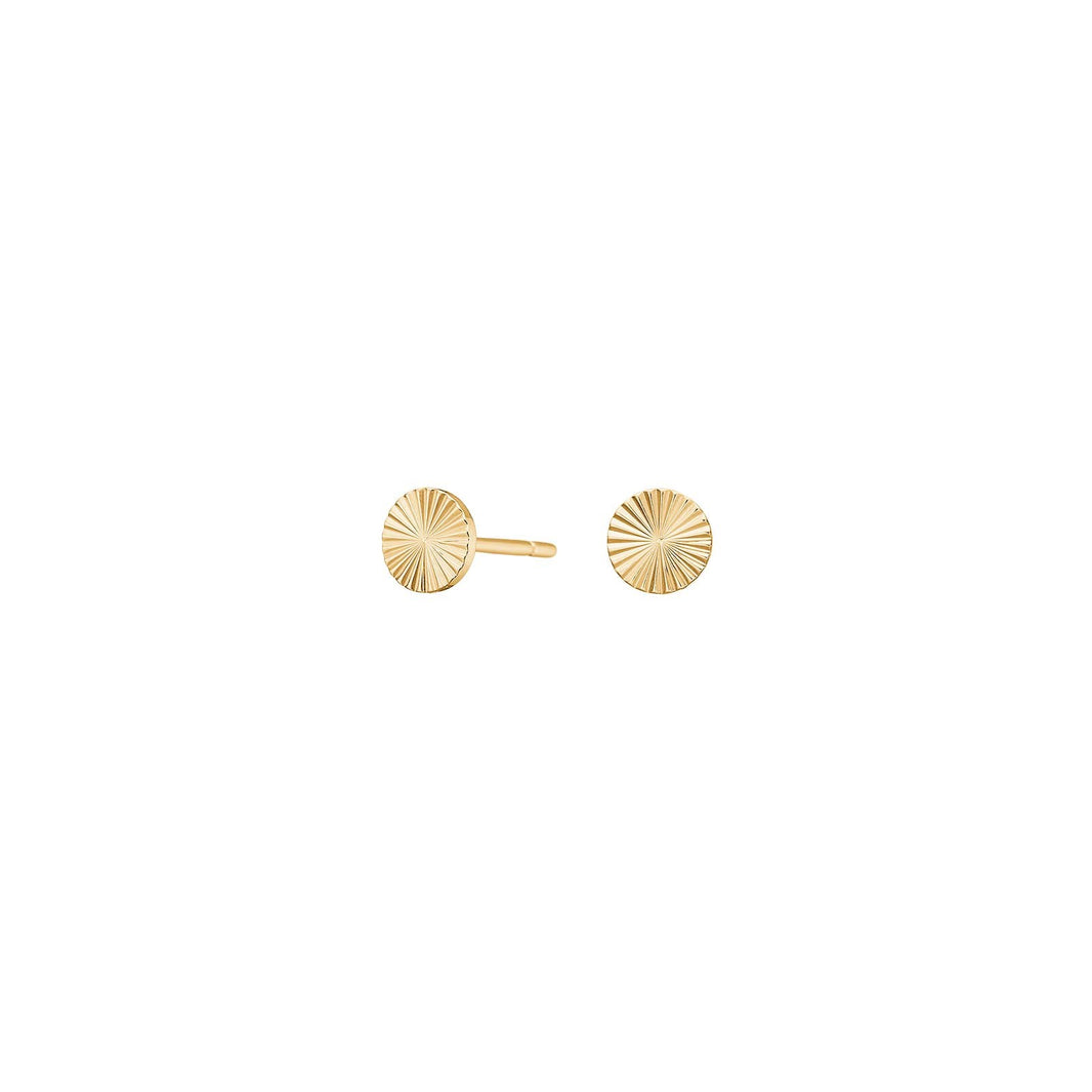 Titanium ear studs GP circle