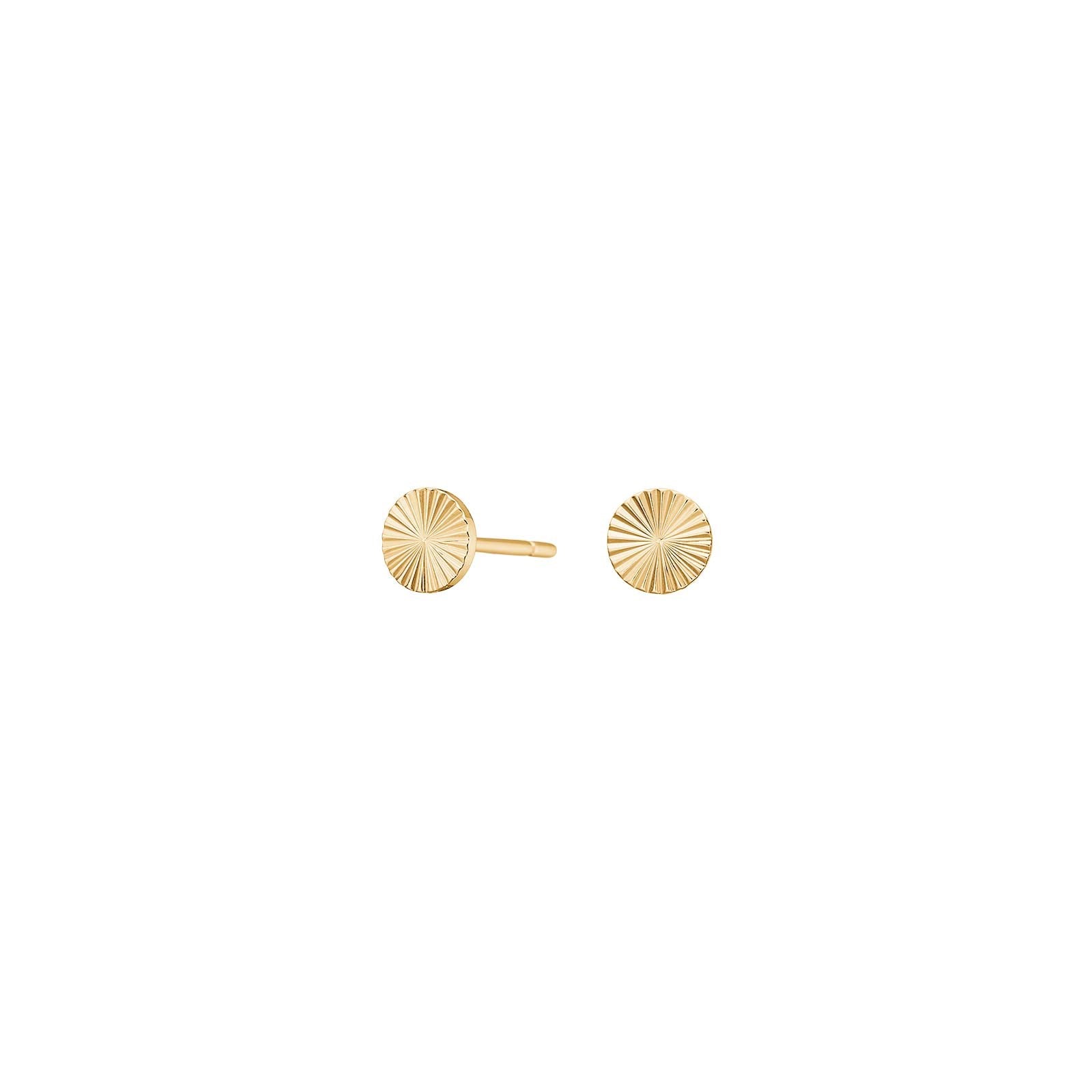 Titanium ear studs GP circle