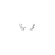Silver earring stars