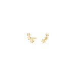 Silver earring stars