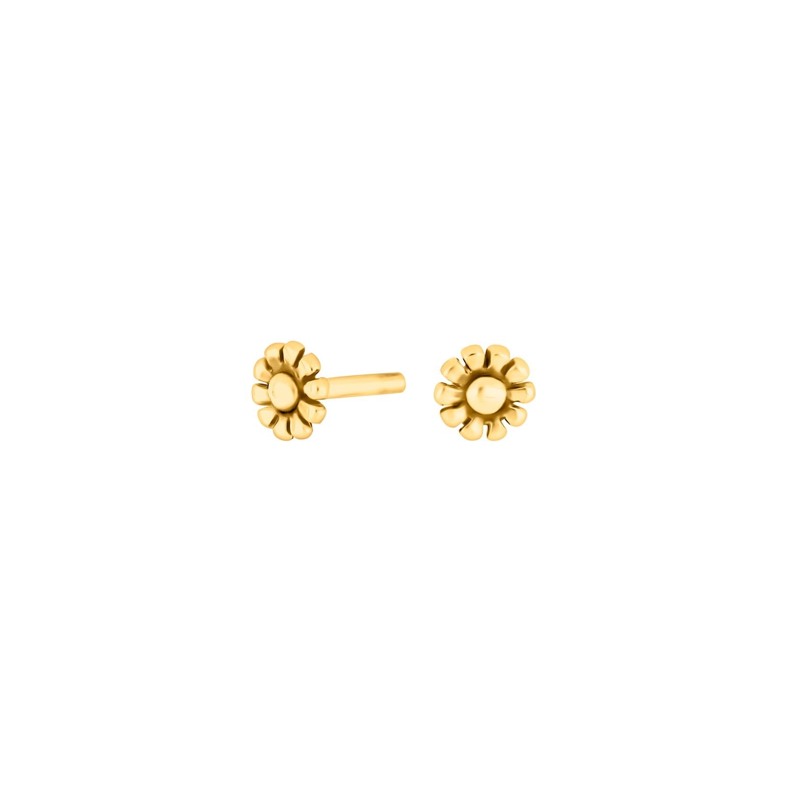 Sølvørestikker blomst
