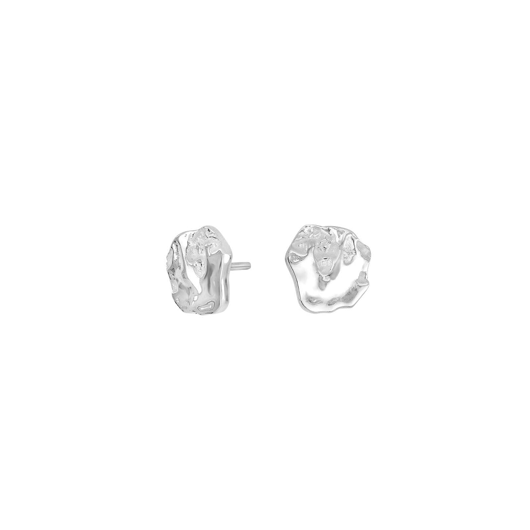 Rhd. silver earrings TREASURE52
