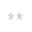 Silver earring starfish SEA52