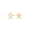Silver earring starfish SEA52