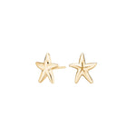 Silver earring starfish SEA52