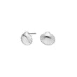 Silver ear studs seashell SEA52