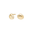 Silver ear studs seashell SEA52
