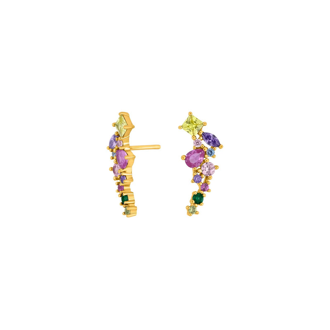 Silver earrings METTENOR multi