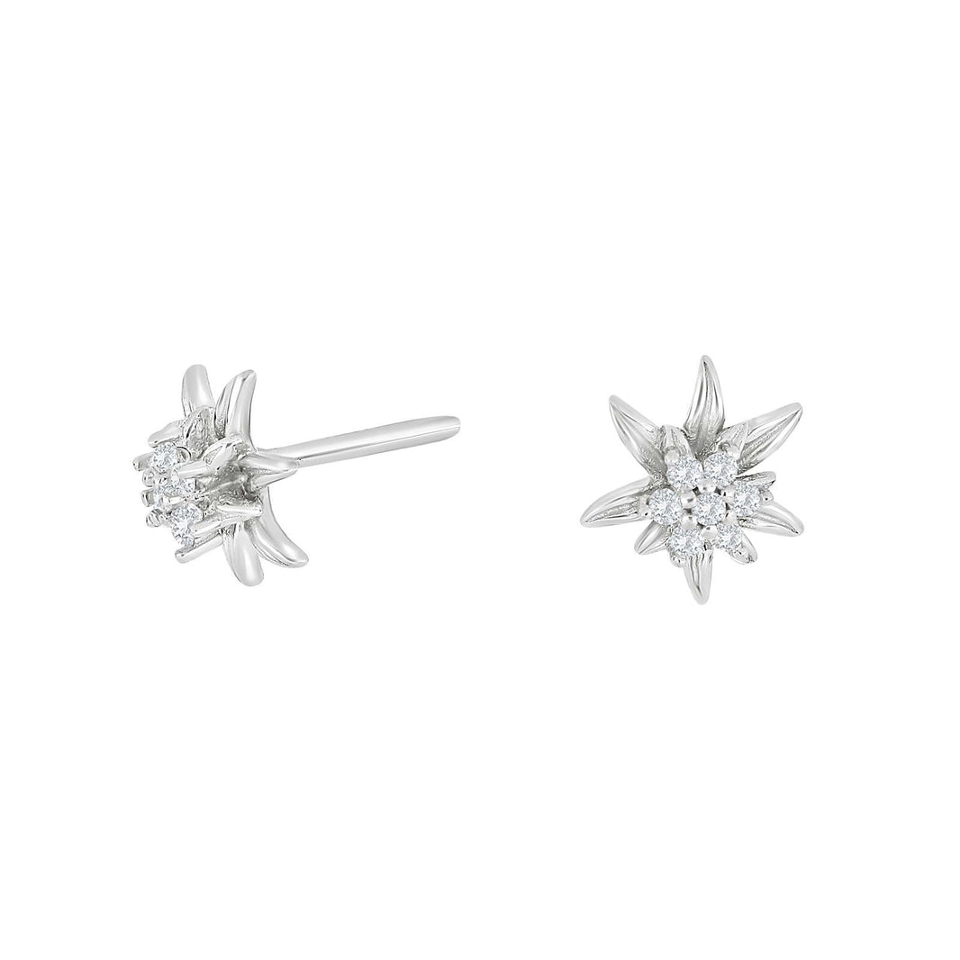 Silver earrings small OYANOR