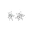 Silver earring large OYANOR