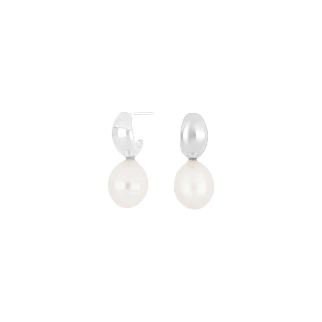Rhd. silver earrings w. FWT