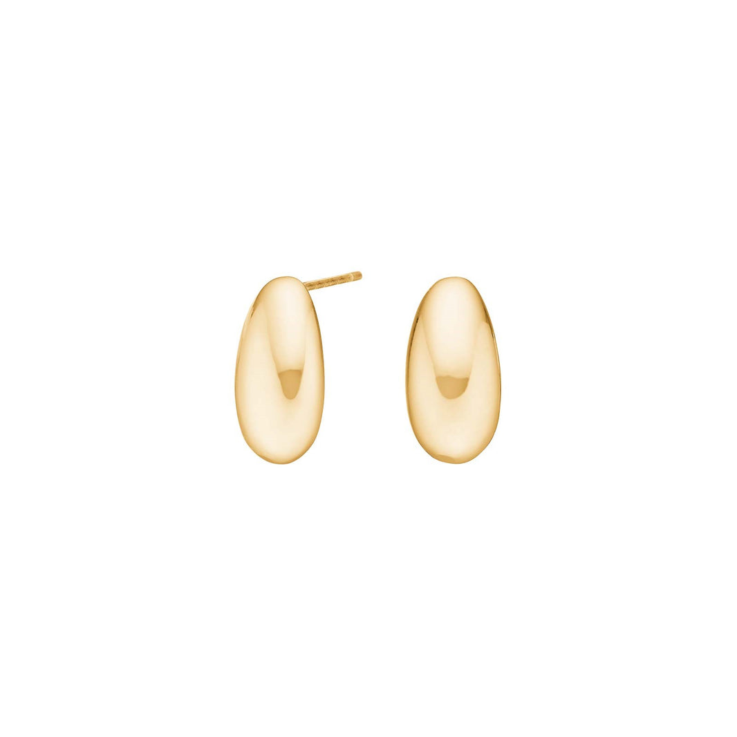 Gold plated silver earrings