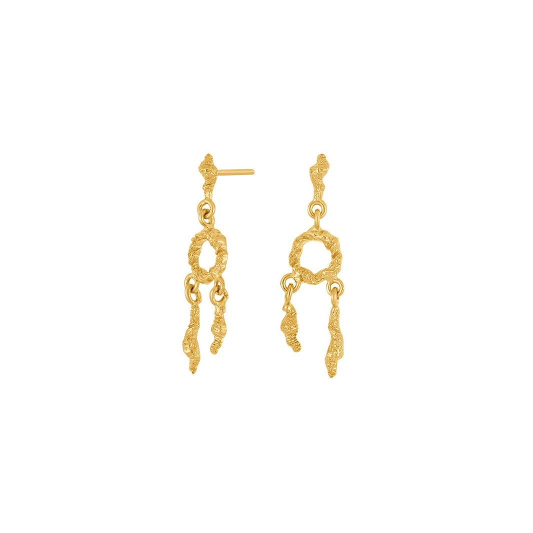 Silver earrings MOVIE52