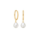 8ct. gold hoops w/FWT