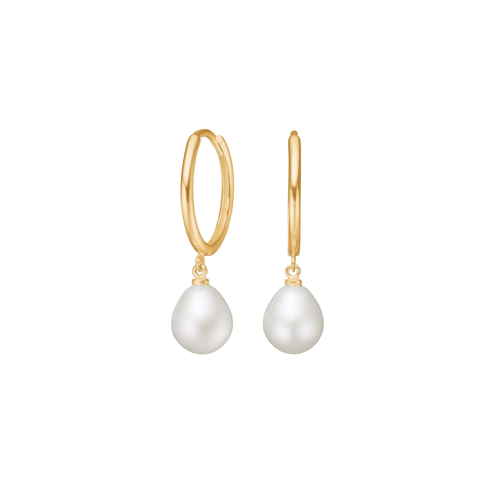8ct. gold hoops w/FWT