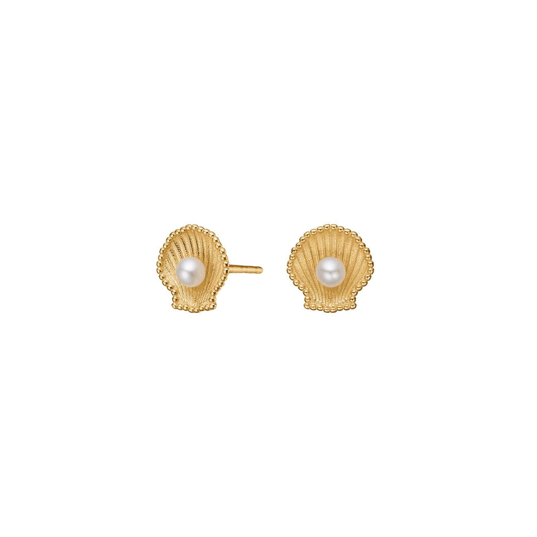 8ct. gold earrings w/FWT