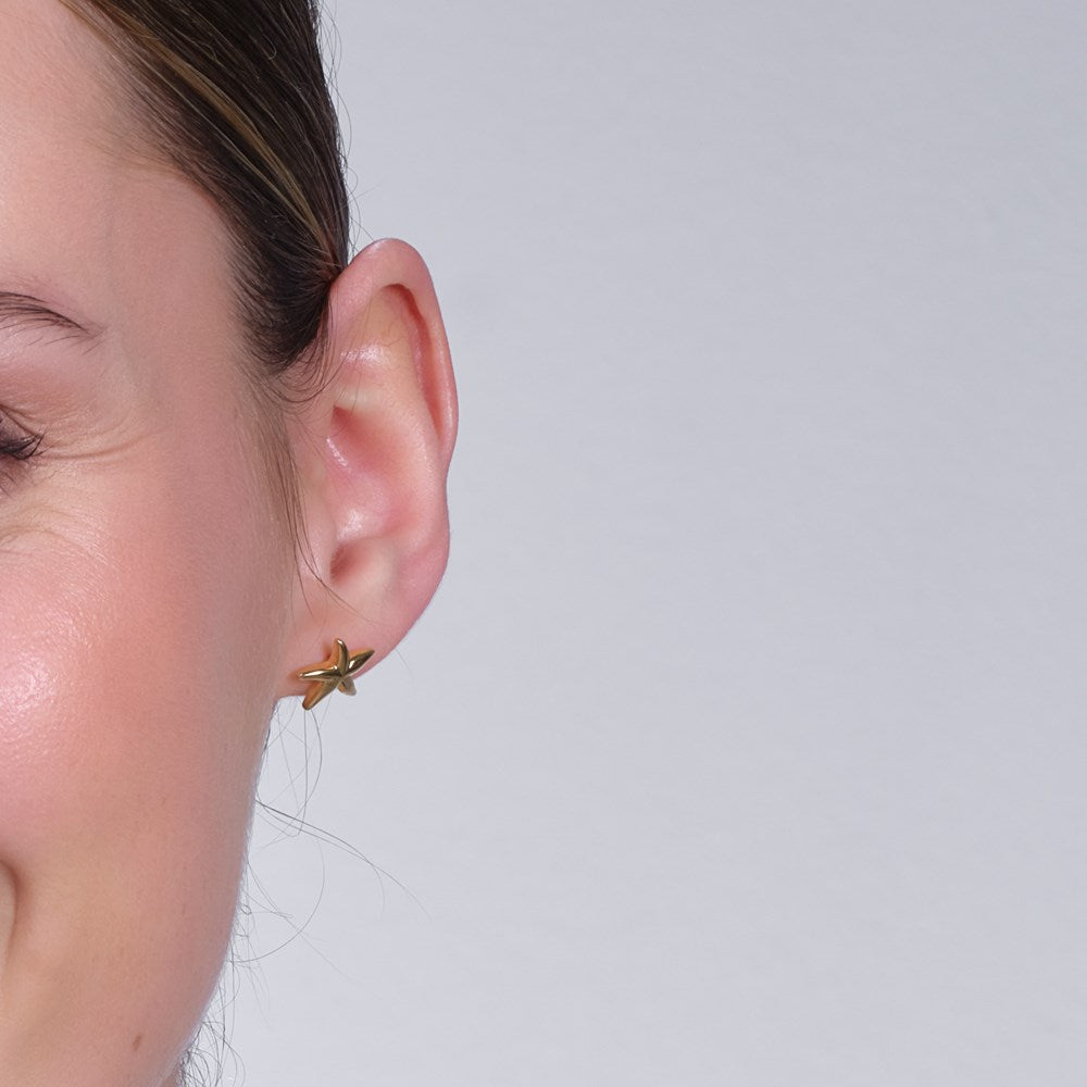 Silver earring starfish SEA52