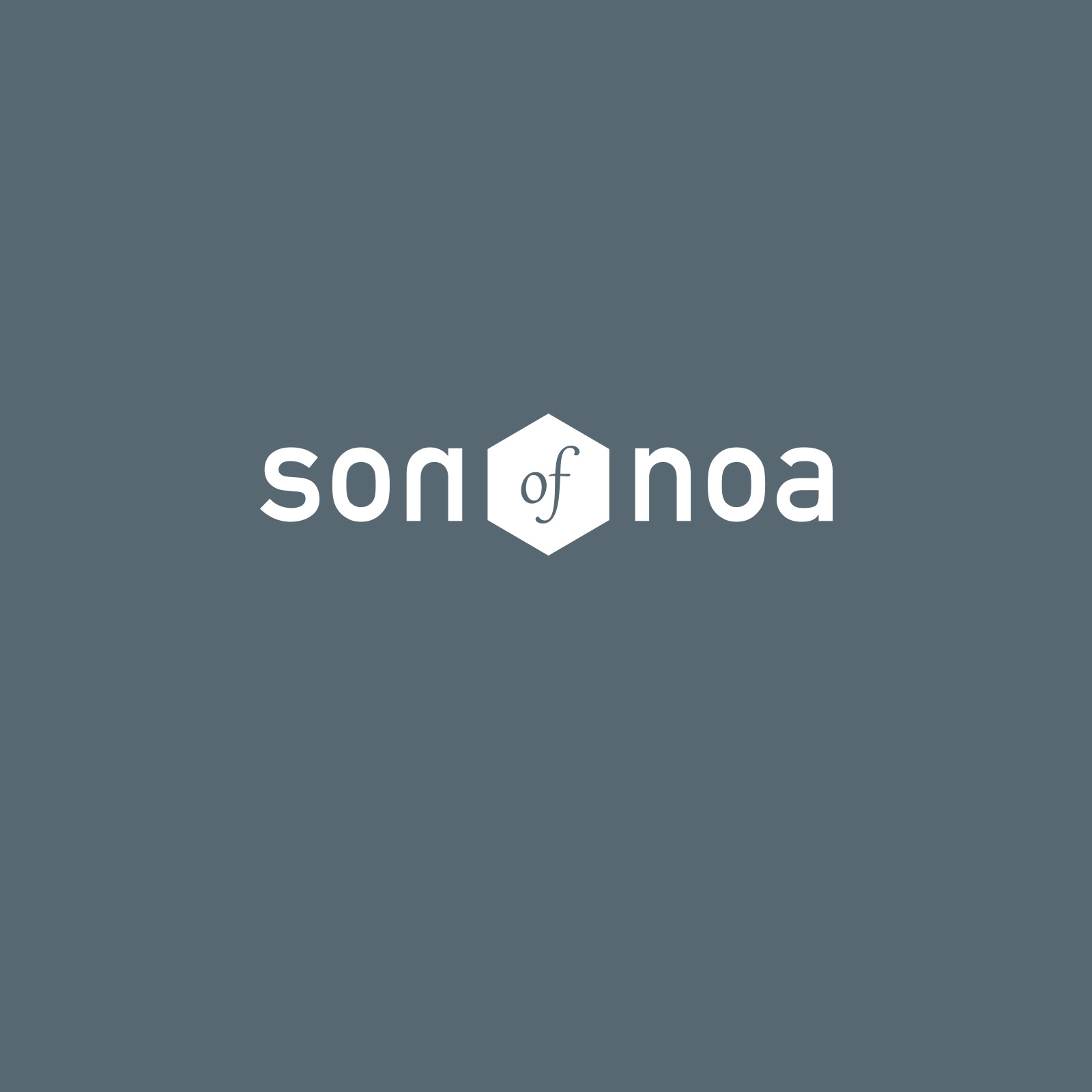 SON of NOA logo