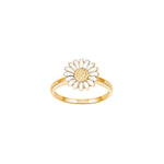 Rod. silver ring Daisy 10mm
