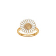 Stab. Silberring Daisy 15mm