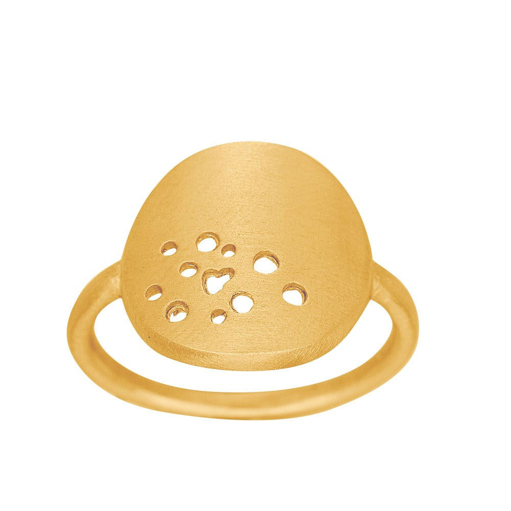 Silberring DUST52 14mm