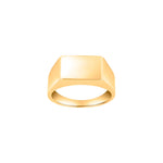 14kt. Goldring Teller