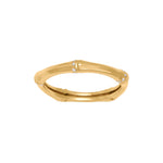 Silberring FLORINANOR 3mm