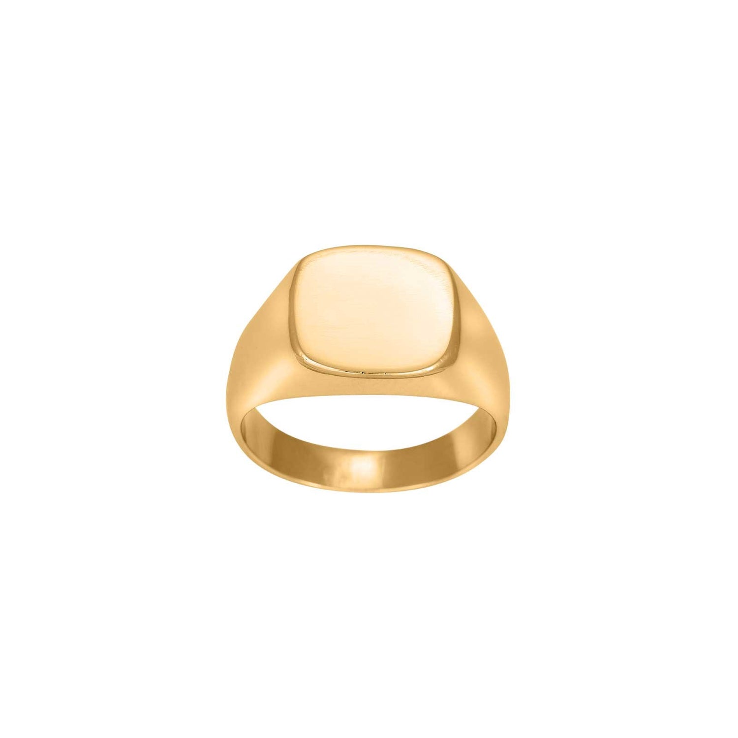 SON steel ring plate - Gold-plated stainless steel / 70
