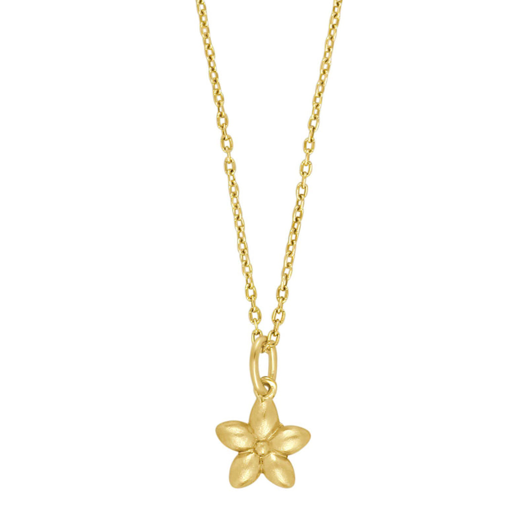 Vergoldete Silber Halskette Blume