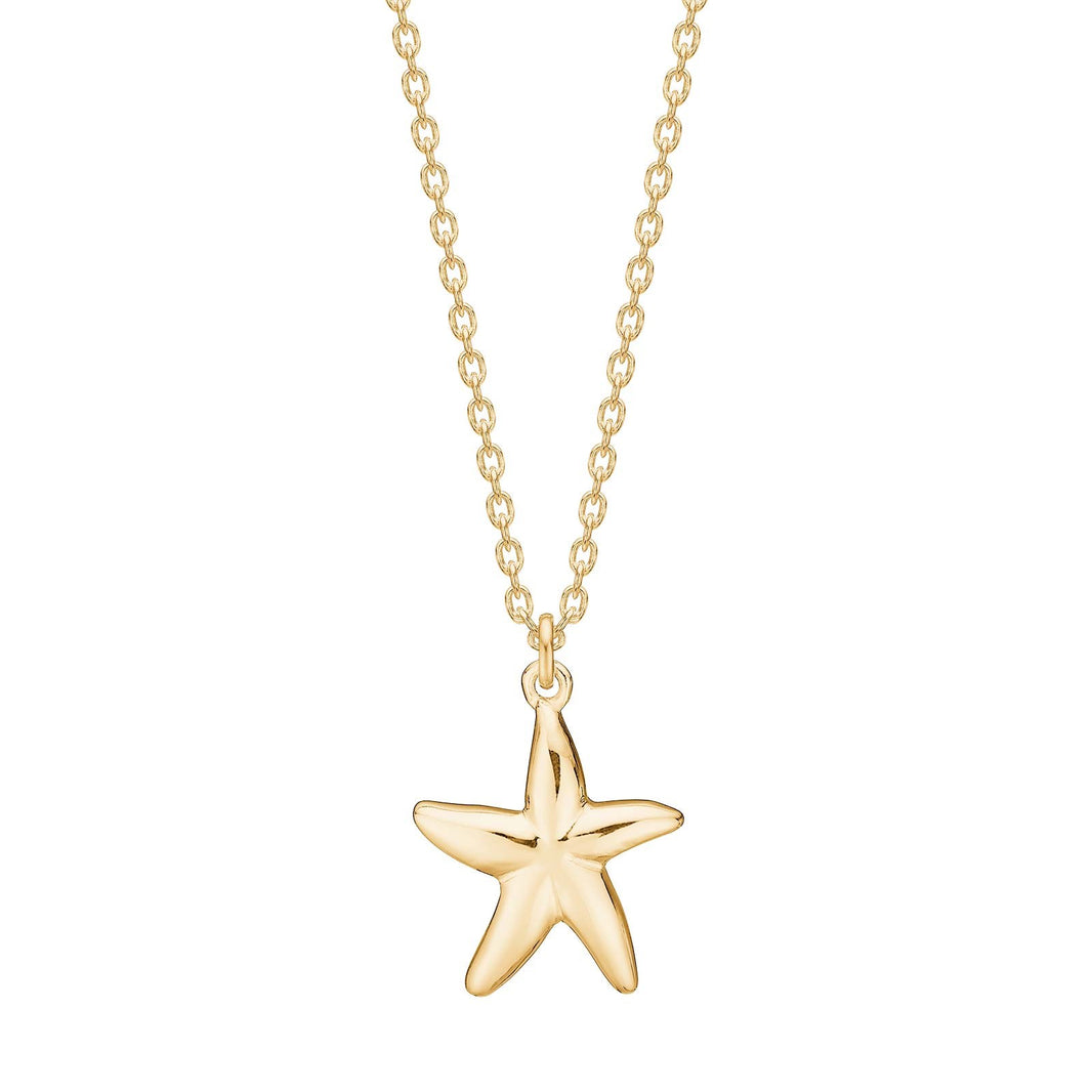 Silver necklace starfish SEA52