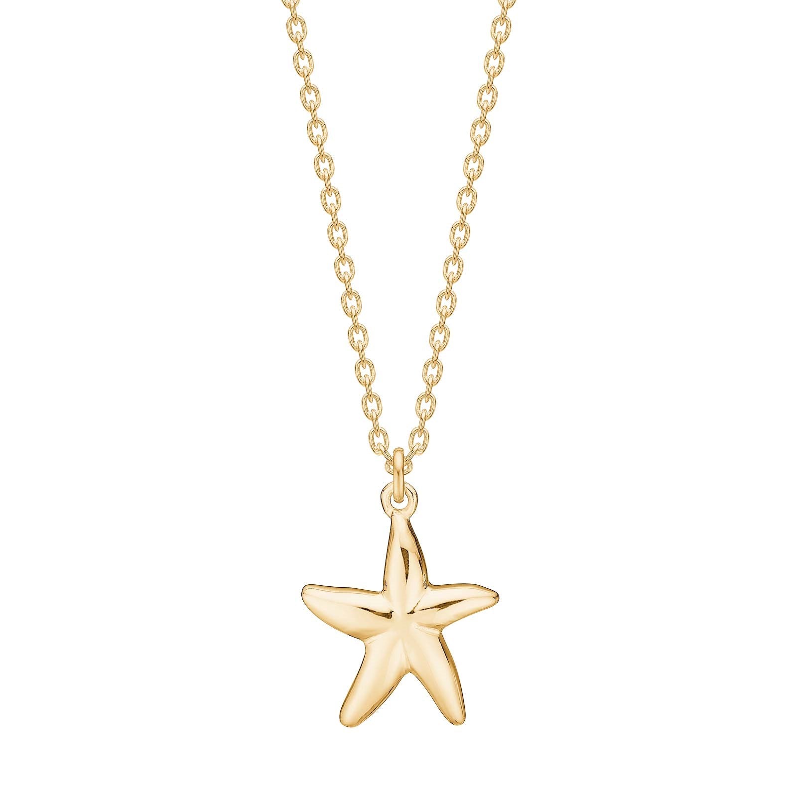 Silver necklace starfish SEA52