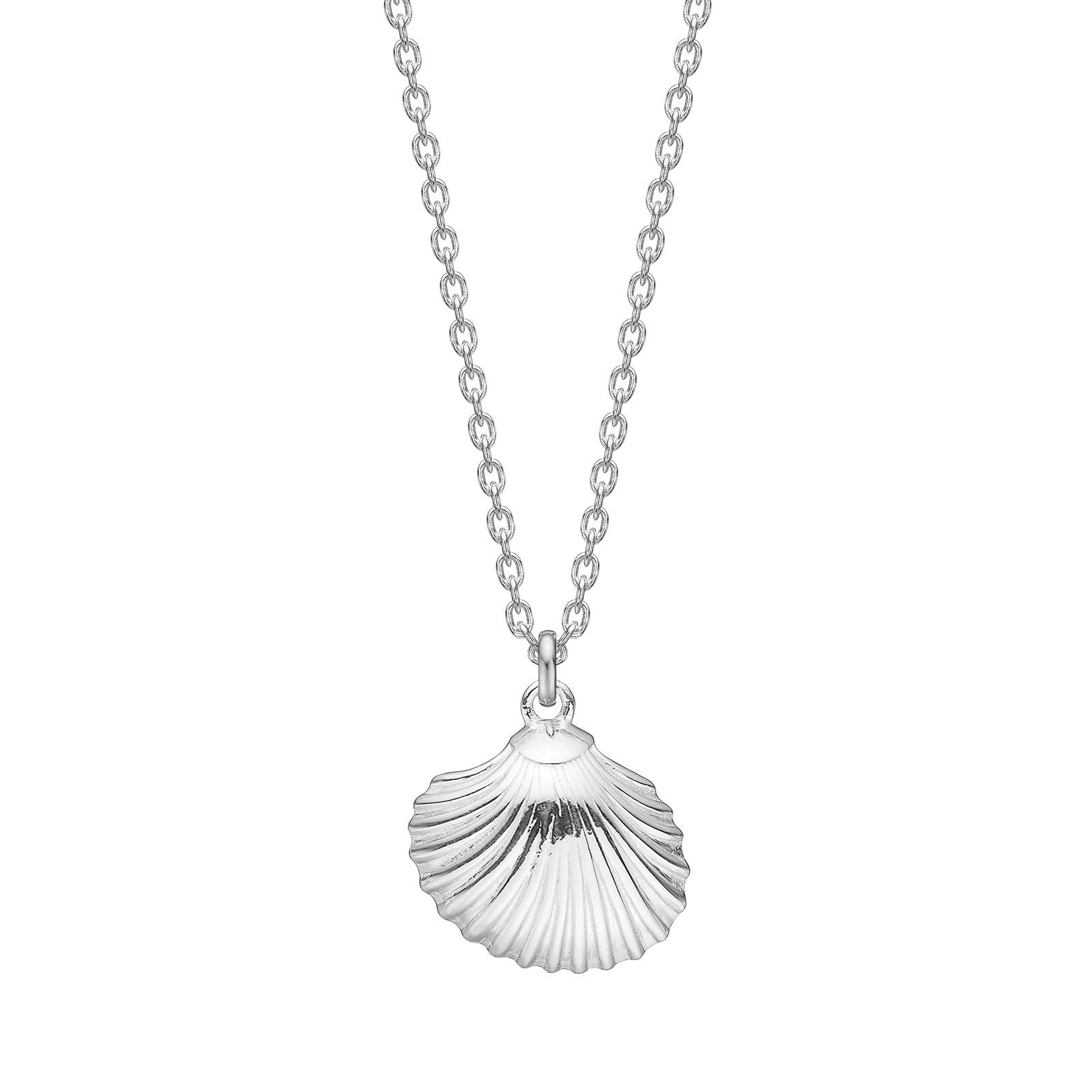 Silberkette Muschel SEA52