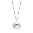 Silver necklace seashell SEA52