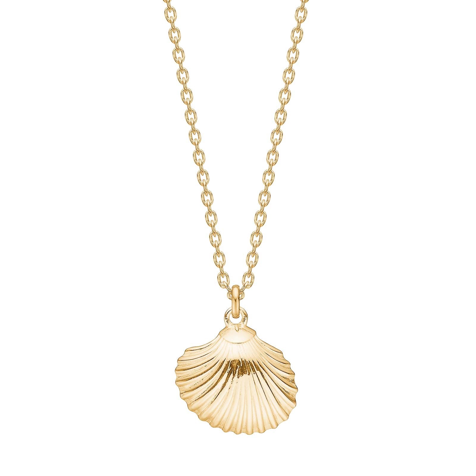 Silver necklace seashell SEA52