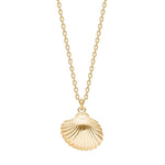 Silver necklace seashell SEA52